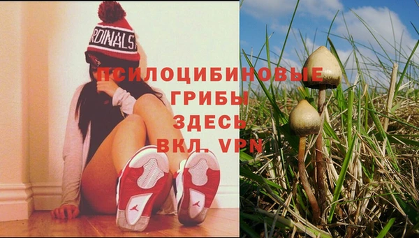 a pvp Алексин