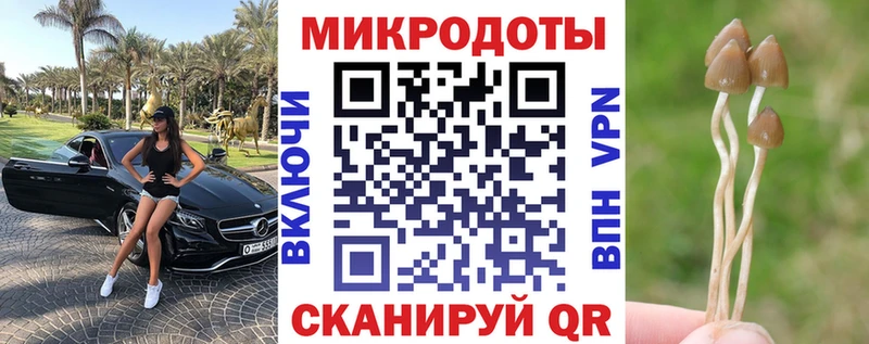 Галлюциногенные грибы мухоморы Урай